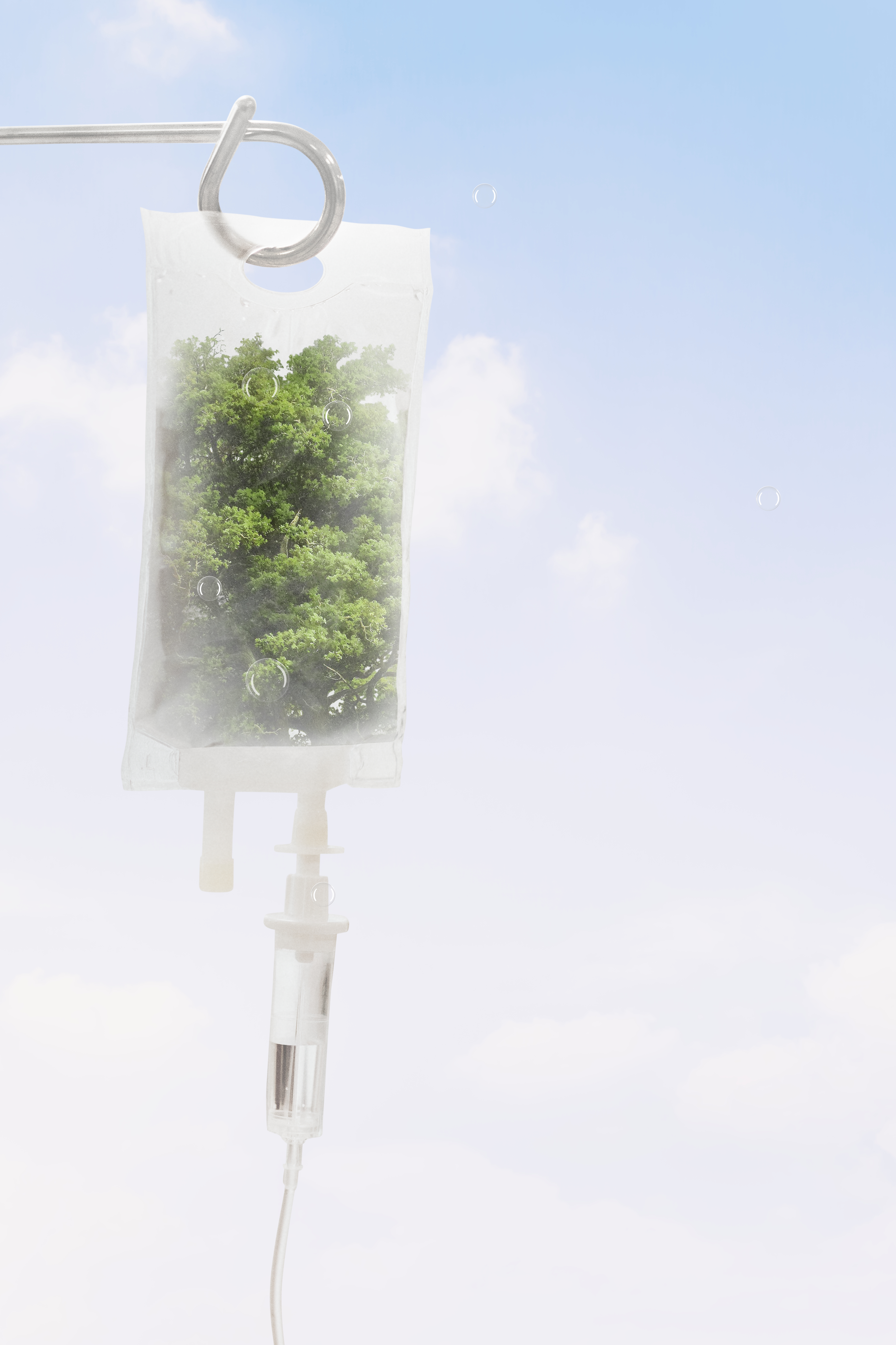 IV Bag with tree and sky